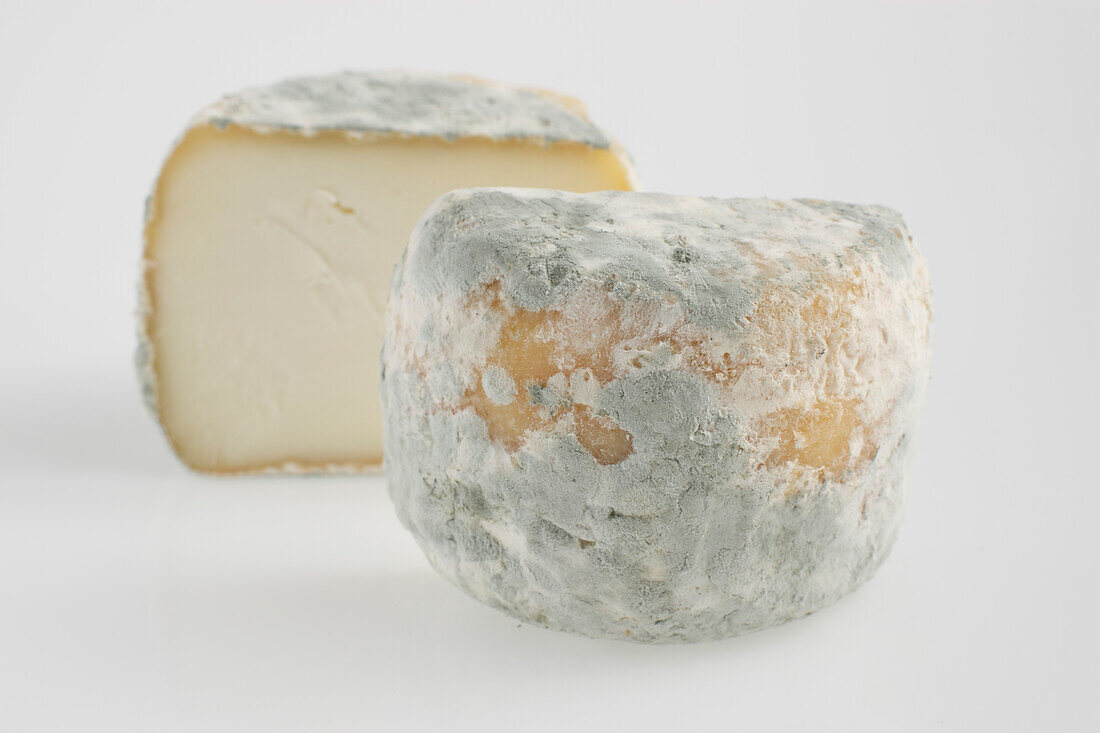 Sliced drum of French crottin de chavignol AOC goat's cheese
