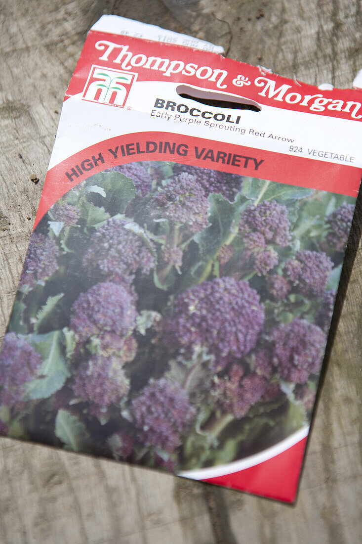 Purple sprouting broccoli seeds