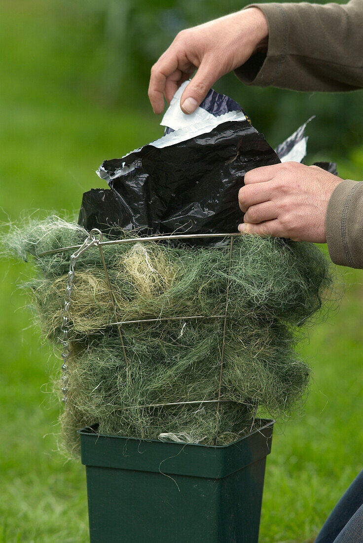 Placing black plastic compost bag inside hanging basket