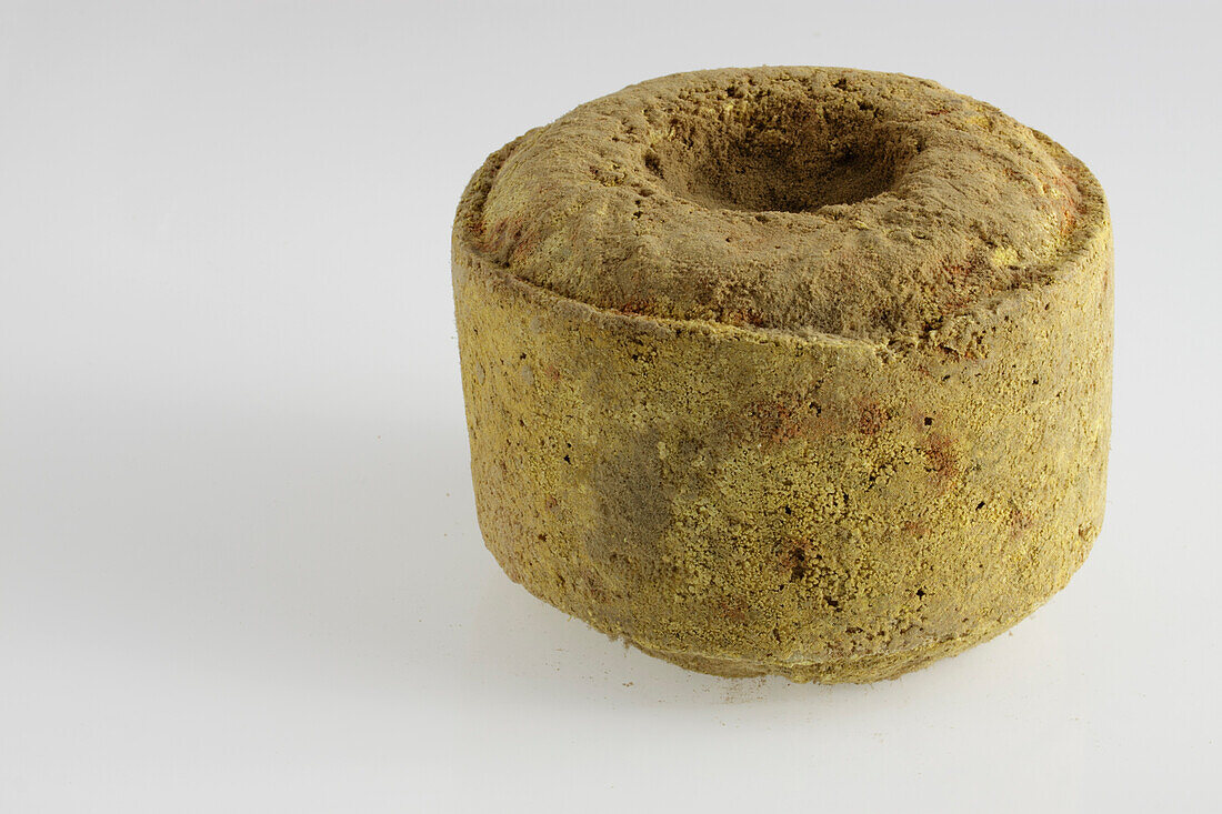 Cylinder of French Lavort ewe's milk cheese with sunken rind