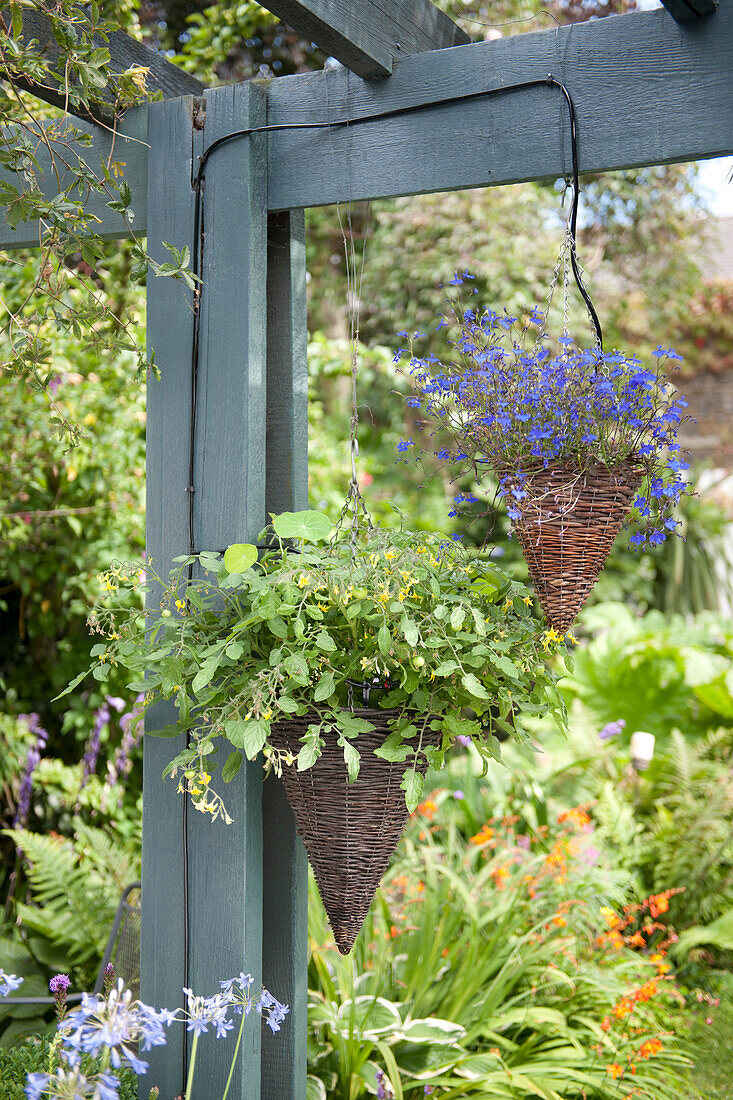 Hanging baskets and pergola in garden with watering system