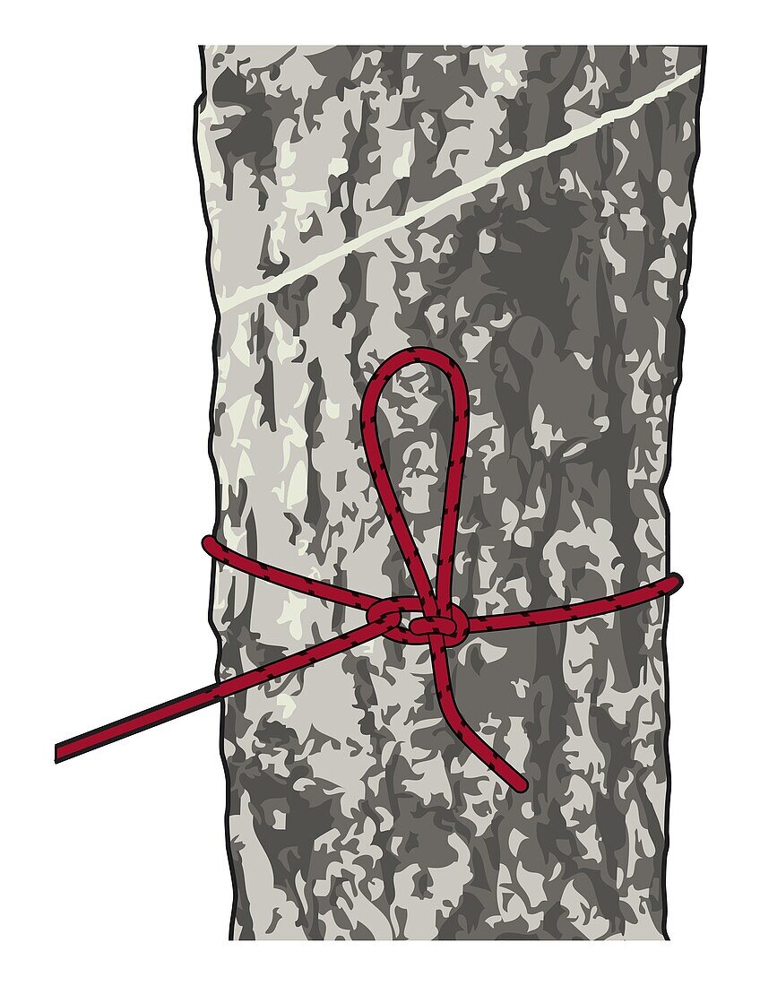 Siberian hitch knot, illustration