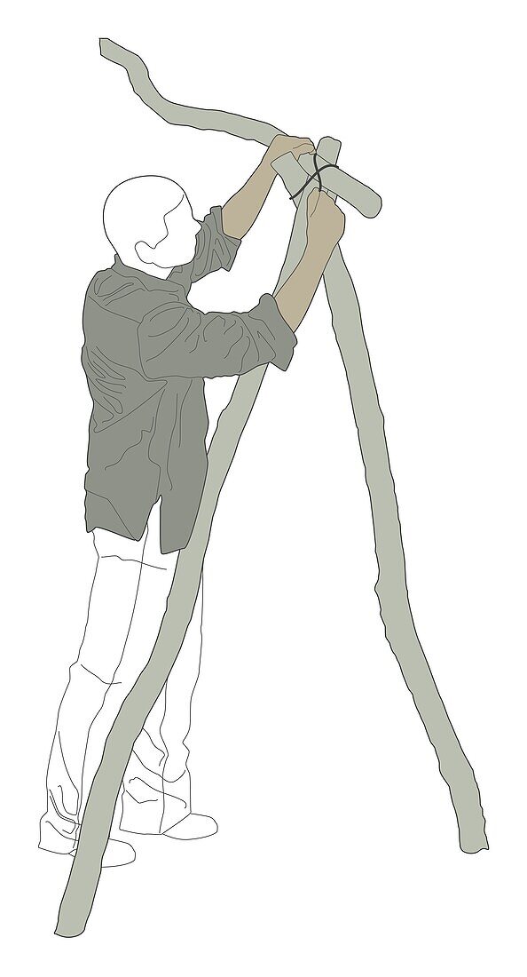 Man tying ridgepole on top of two A-poles, illustration