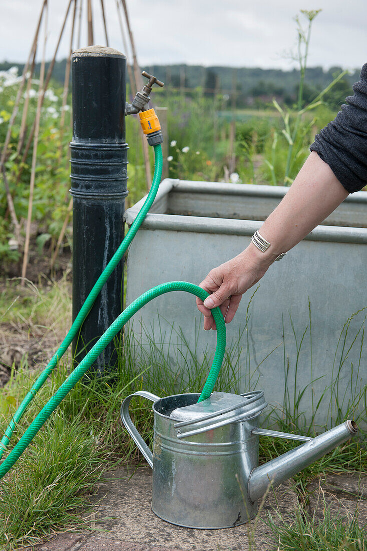 Filling watering can with water from tap and hose