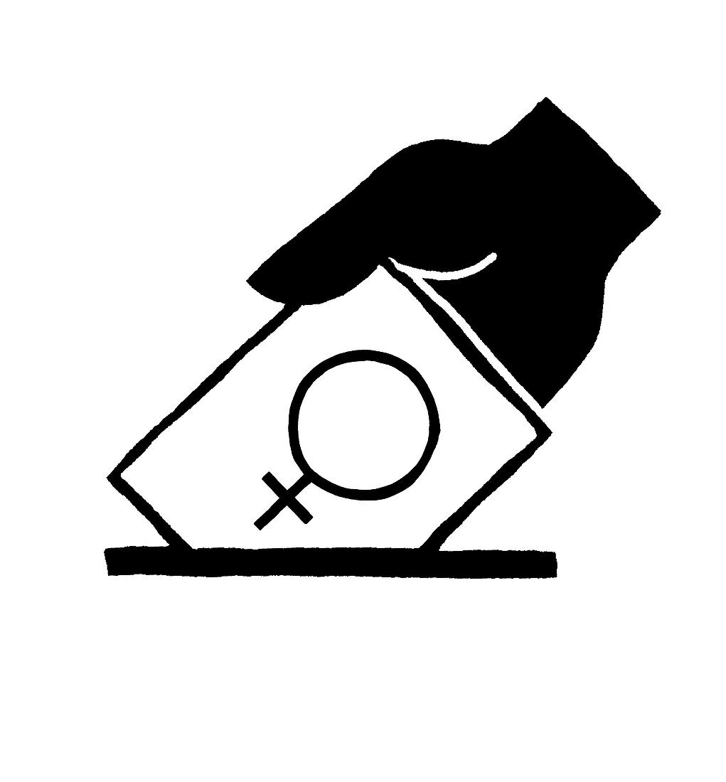 Ballot paper with female gender symbol on it, illustration