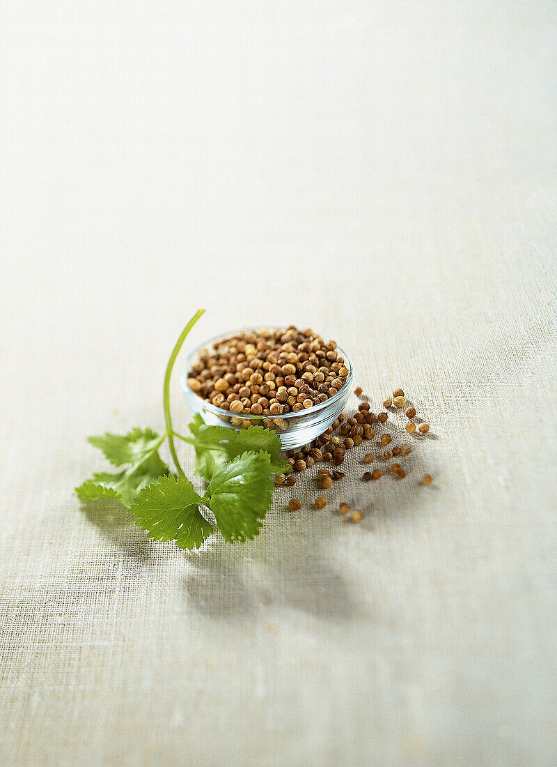 Coriander and Moroccan seeds in small glass bowl
