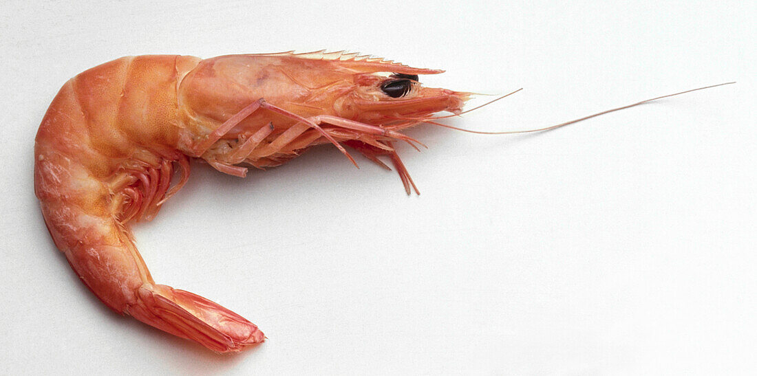 Whole cooked shrimp