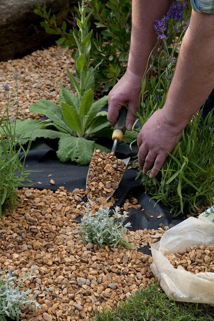 Making a dry gravel garden