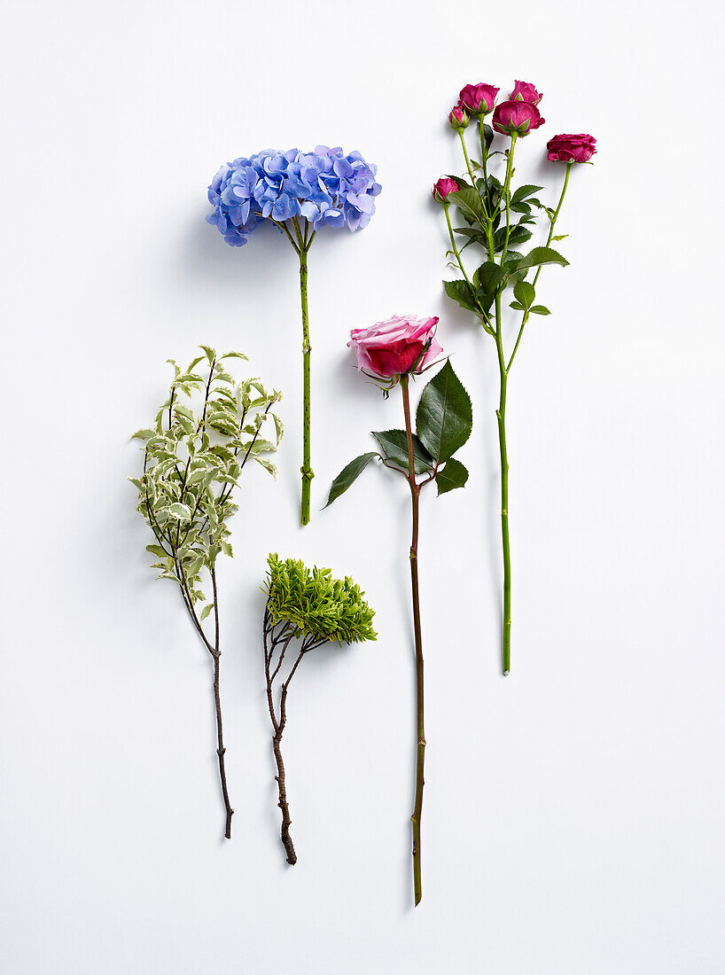 Flowers for flower arranging