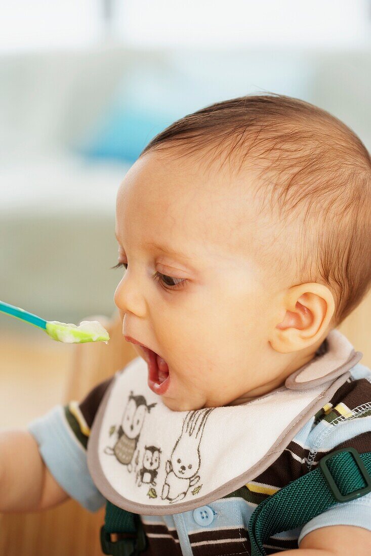 Baby boy being fed with spoon