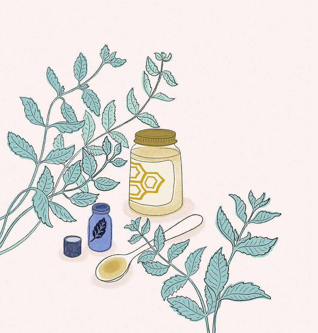 Mint essential oil and honey, illustration