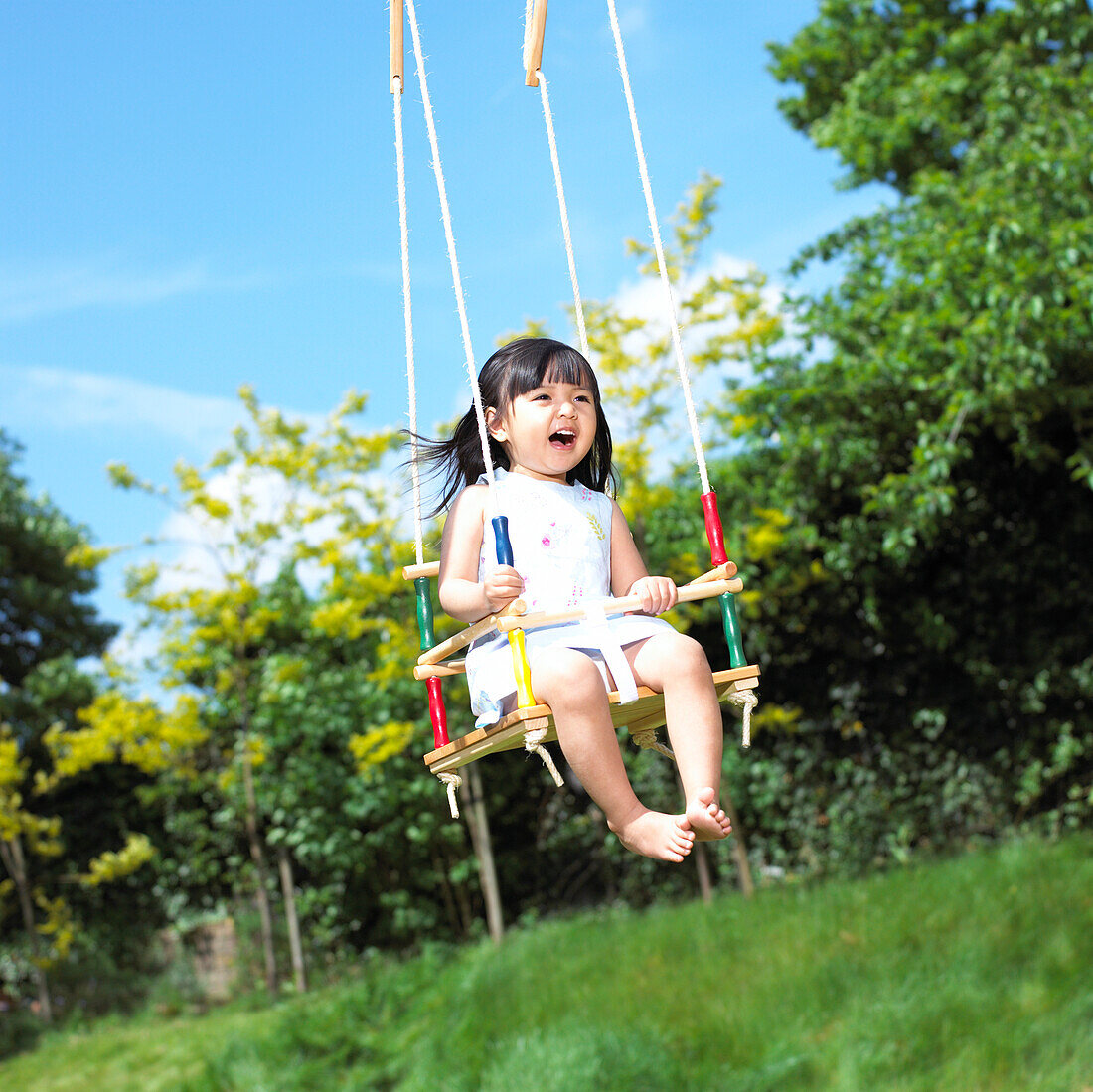 Smiling girl on a swing