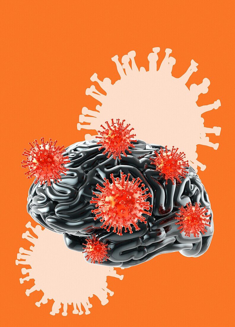 Brain and coronavirus particles, illustration