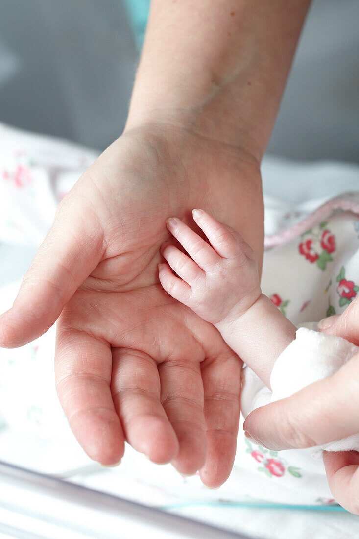 Adult hand comforting premature baby