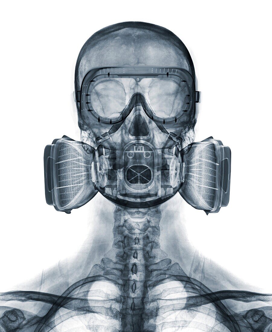 Skull wearing a respirator and goggles, X-ray