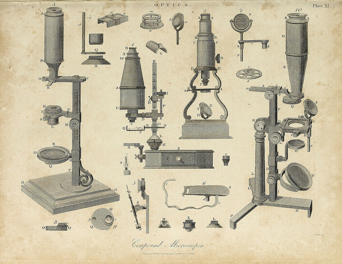 Compound microscopes, 19th century illustration