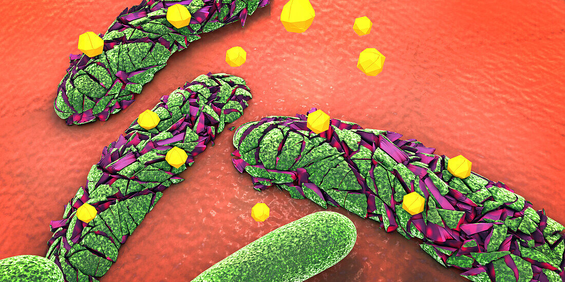 Antibiotic attacking pathogens, illustration