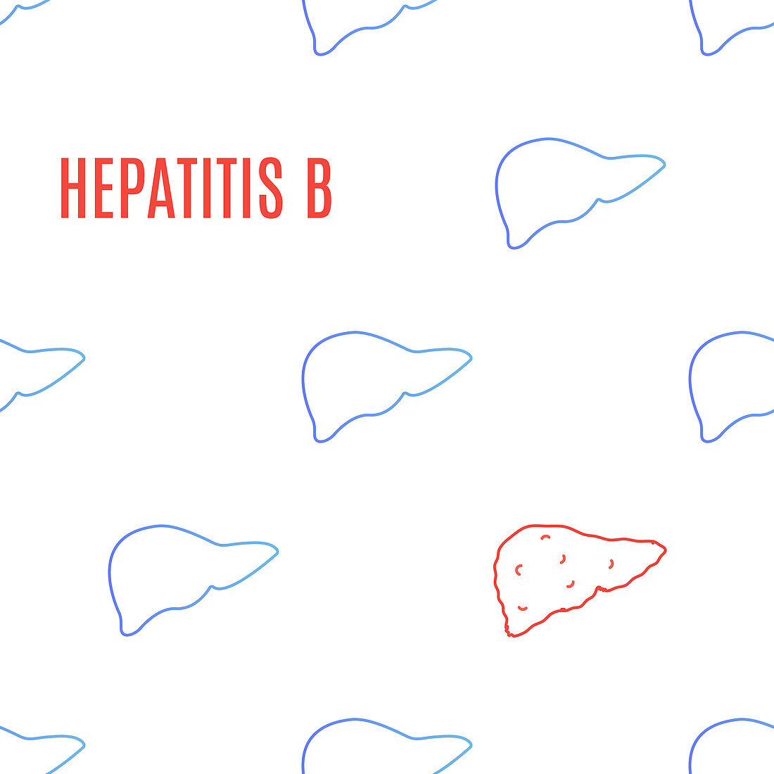 Hepatitis B, conceptual illustration