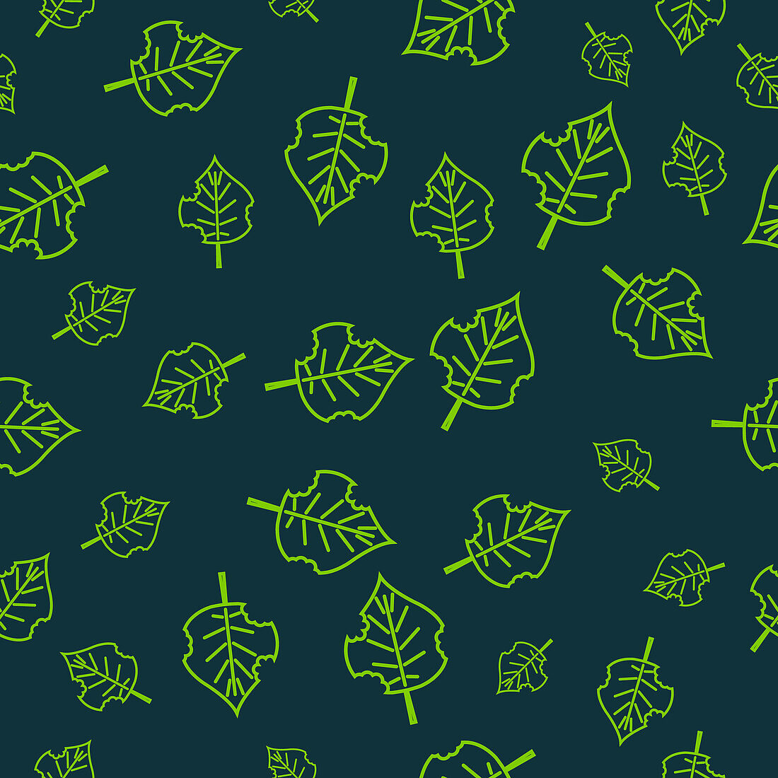 Leaves pattern, illustration