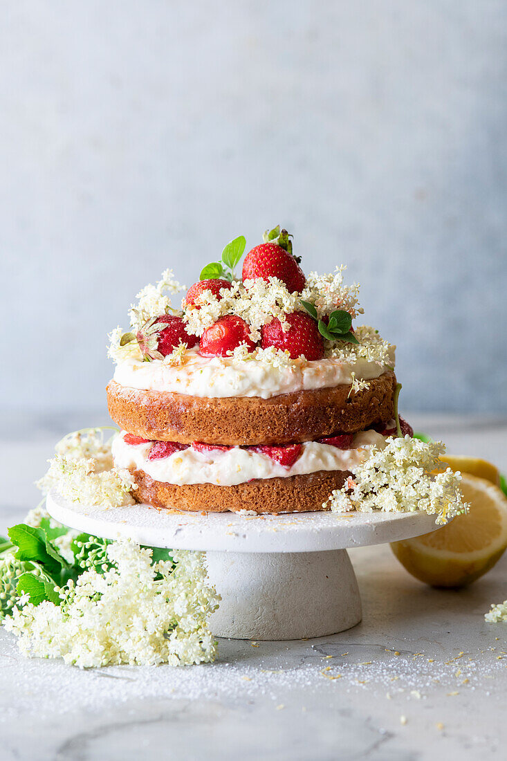 Vanillekuchen getränkt mit Holunderblütensirup, Frischkäse und Erdbeeren