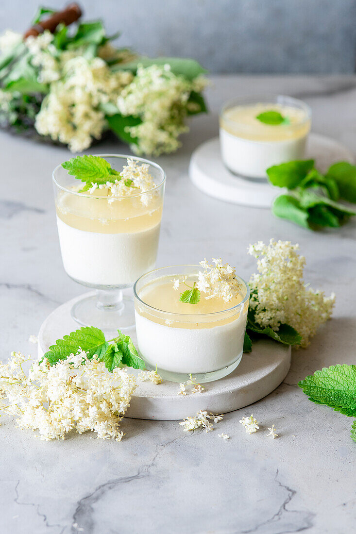 Holunderblüten-Panna Cotta