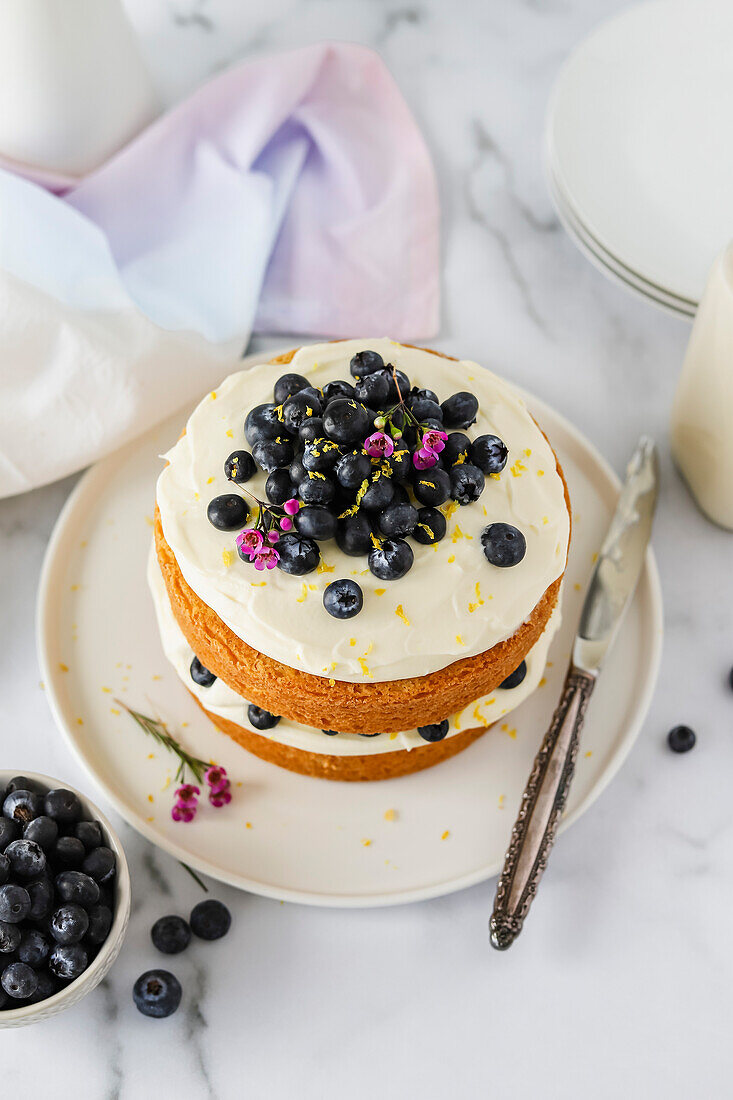 Blaubeer-Biskuitkuchen mit Frosting