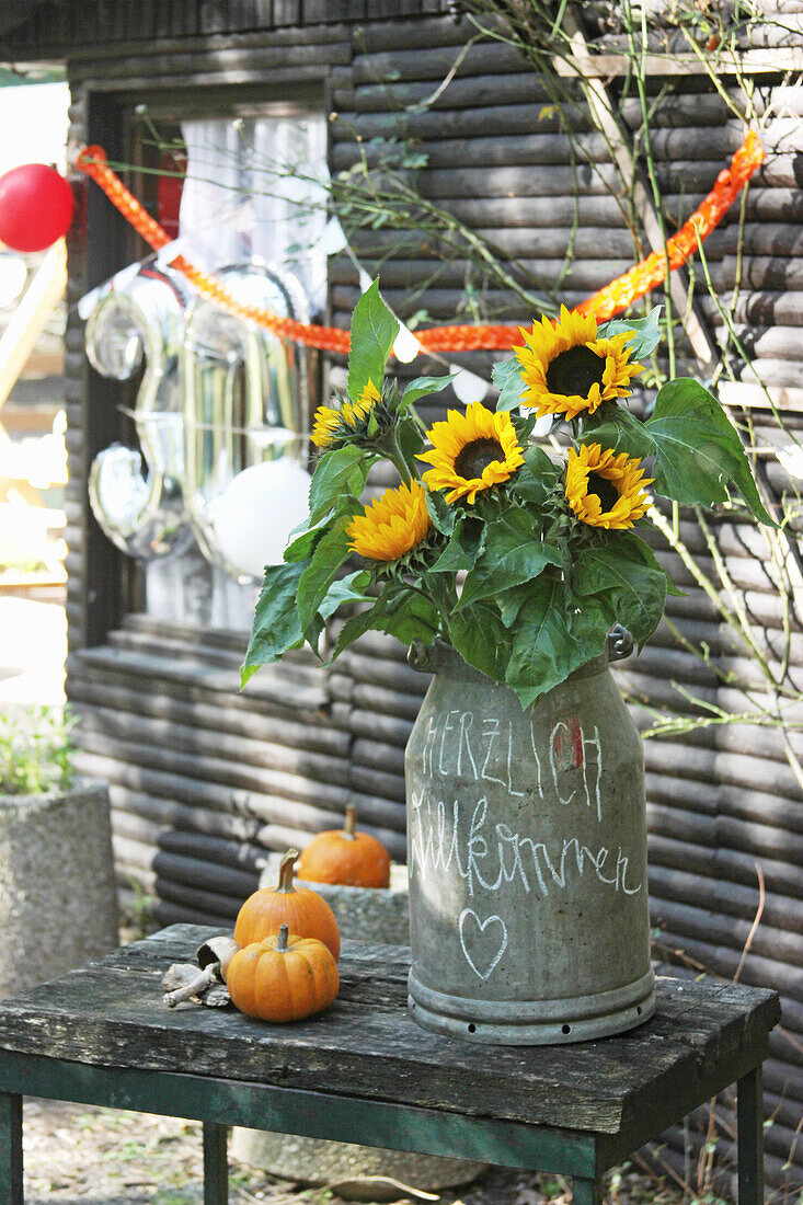 Milchkanne mit Sonnenblumenstrauß und Zierkürbisse vor Gartenhaus