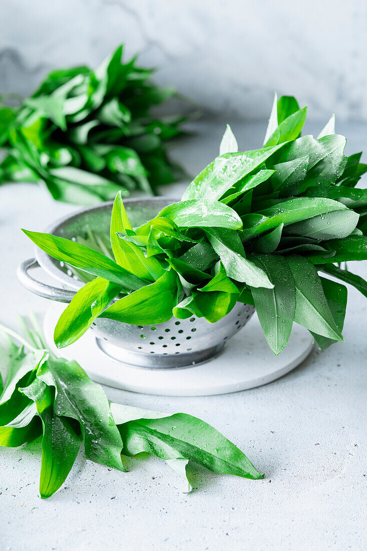 Fresh wild garlic