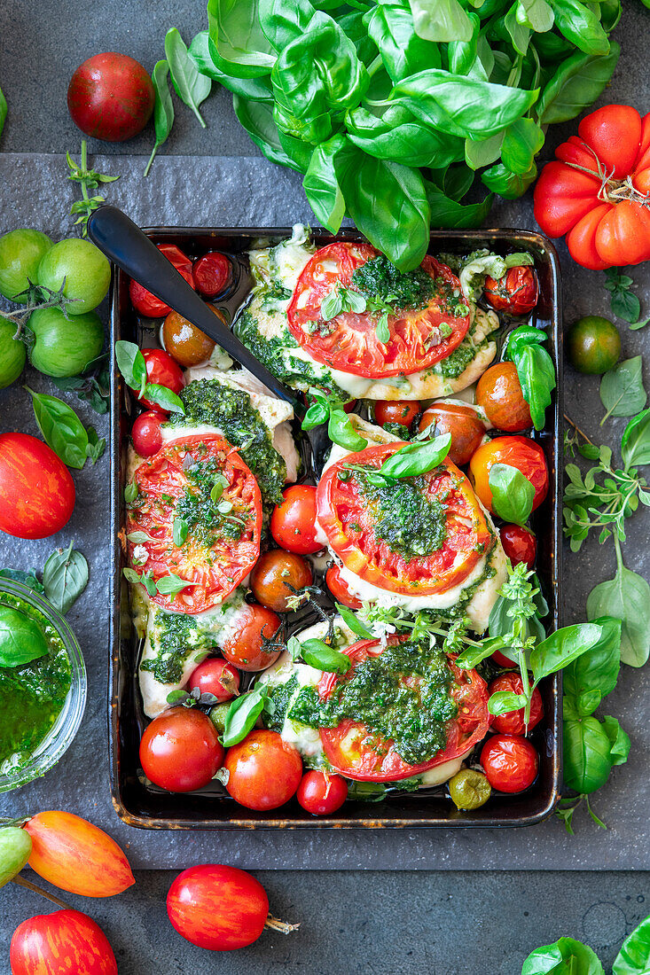 Roasted chicken fillet with tomatoes, mozzarella and basil