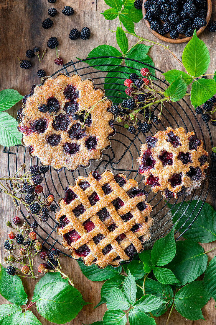 Mini-Brombeer-Pies