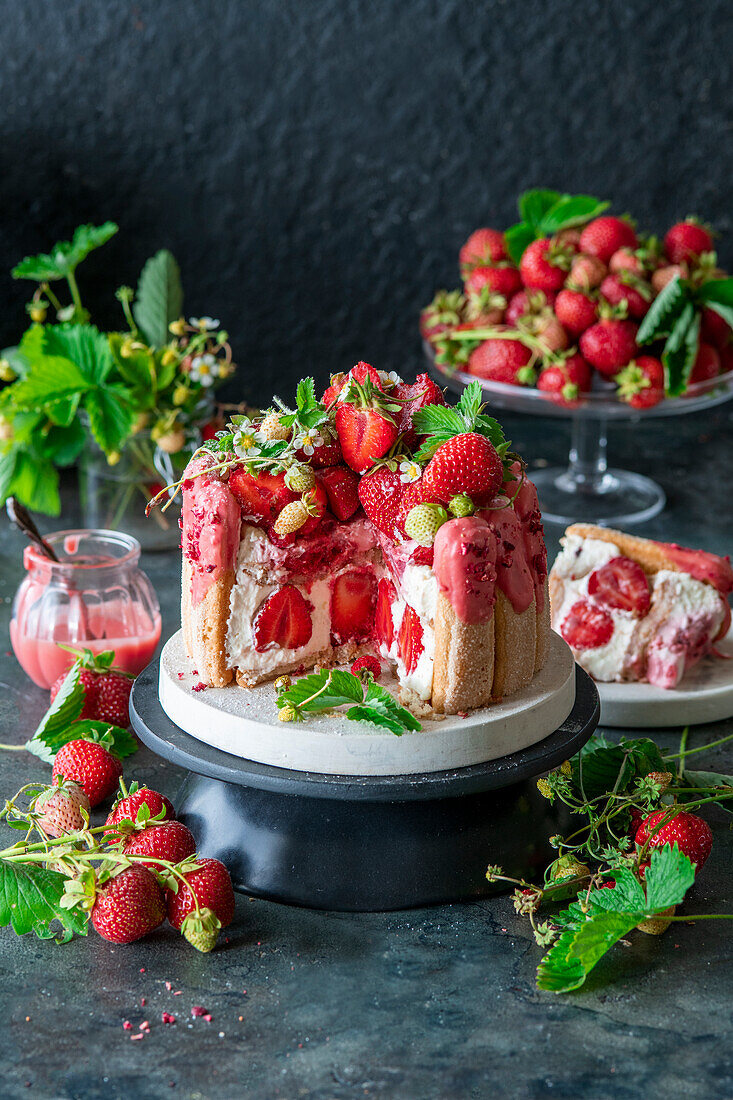 Erdbeer-Tiramisu-Kuchen mit rosa Schokolade und gefriergetrockneten Erdbeeren