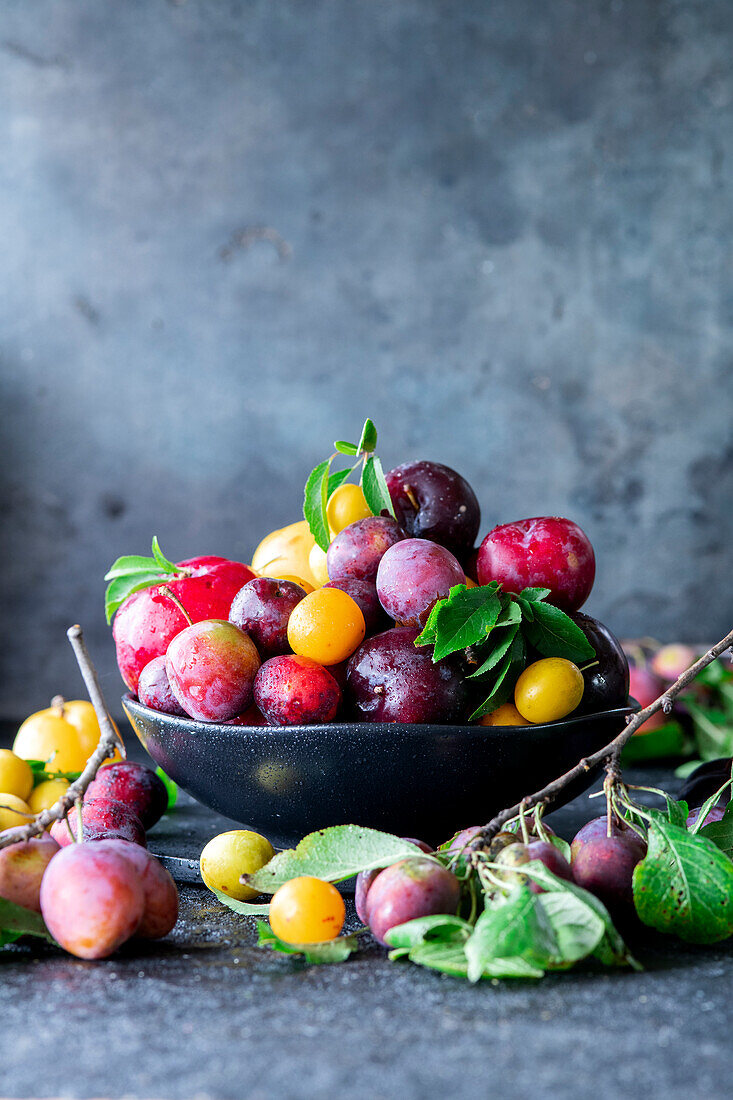 Colourful plums