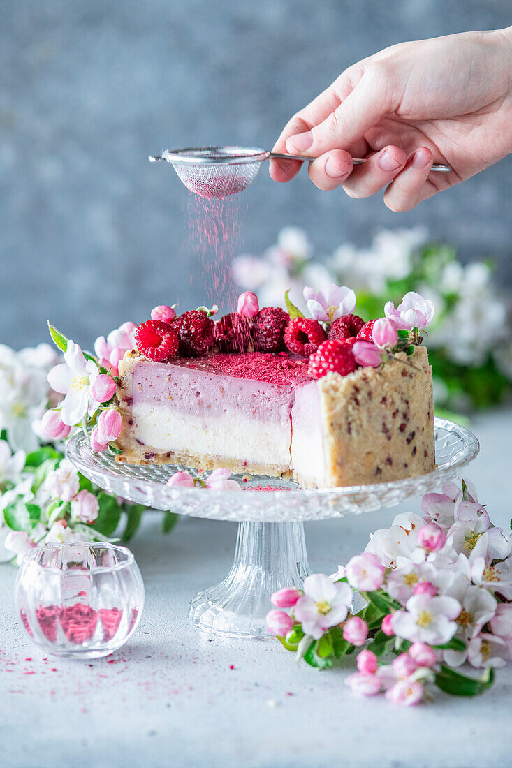 Raspberry cheesecake with dried raspberries