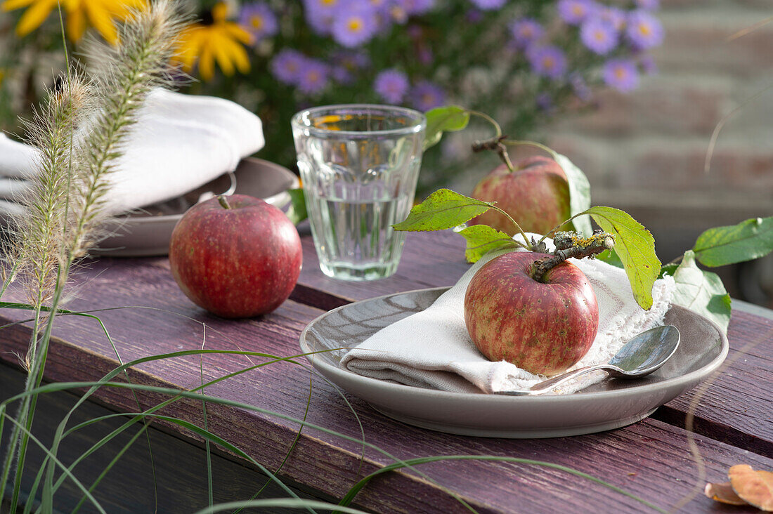 Freshly picked apple with stem and leaves as plate decoration
