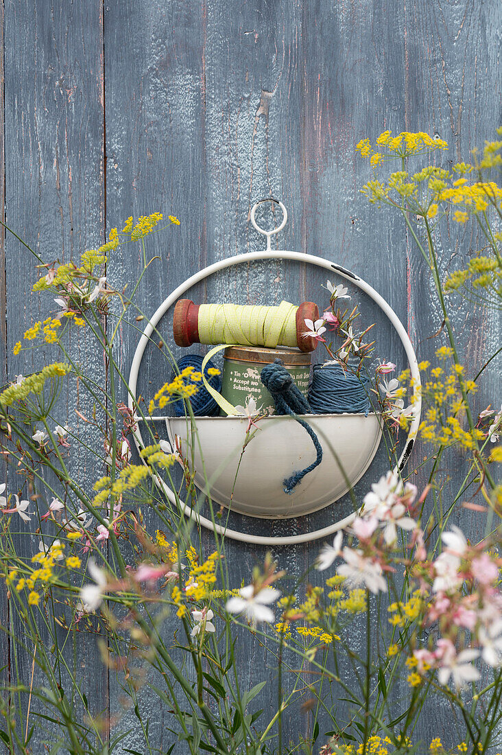 Wall hanger for storing binding material on a board wall, blossoms of the primrose and the spice fennel