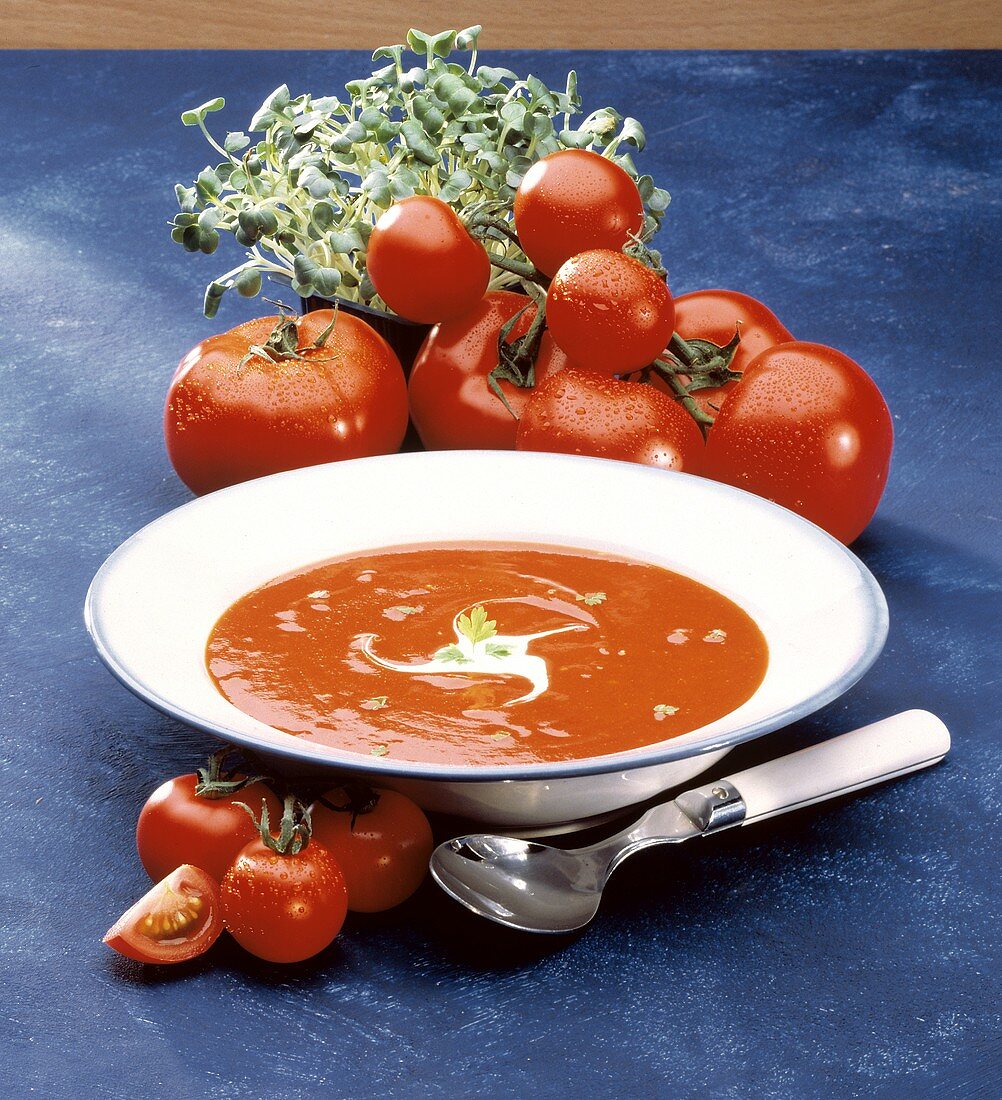 Tomatensuppe mit saurer Sahne & Majoran in Suppenteller