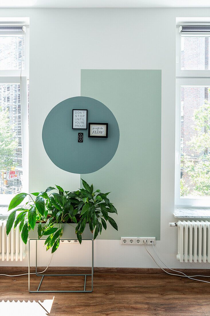 Light wall with green geometric accents, in front of it is a house plant on a stand in the office