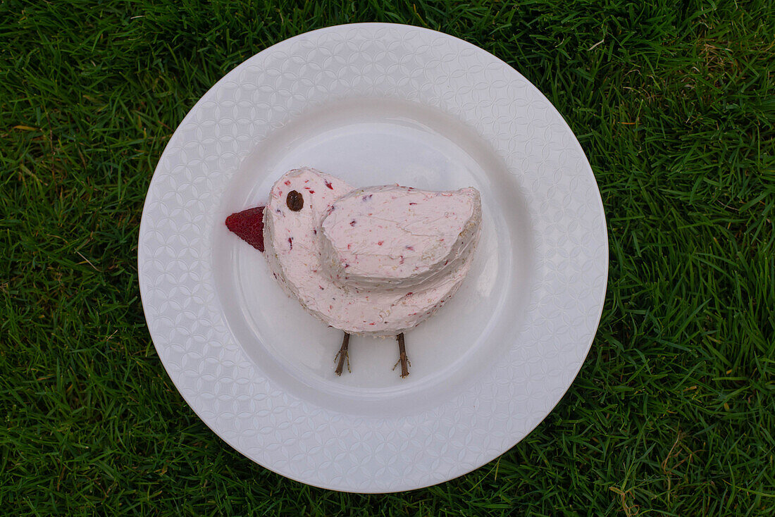 Kuchen in Vogelform auf Teller im Gras
