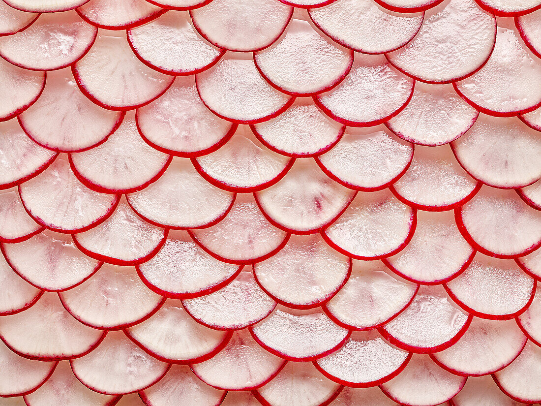 Radish scales