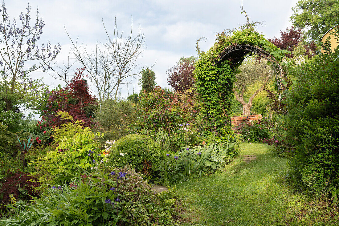 Üppig bewachsener Garten mit Rankbogen