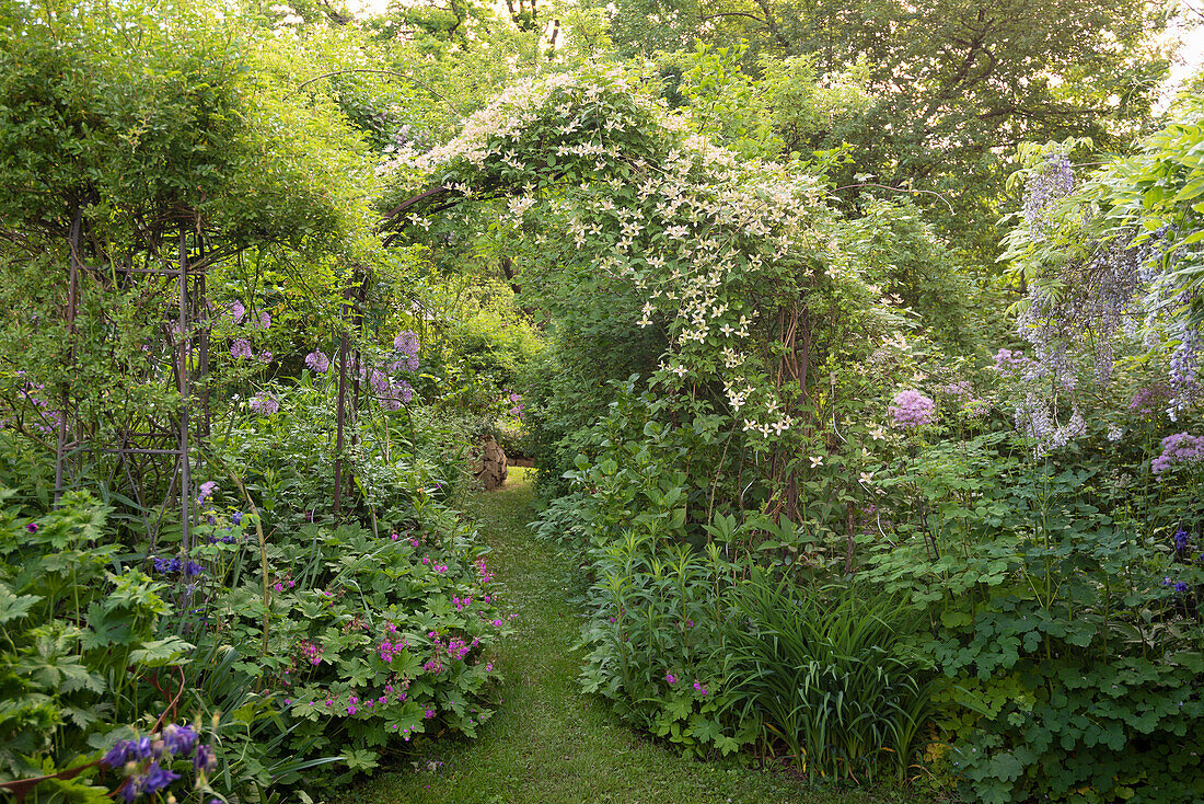 Üppig bewachsener Garten mit Rasenweg