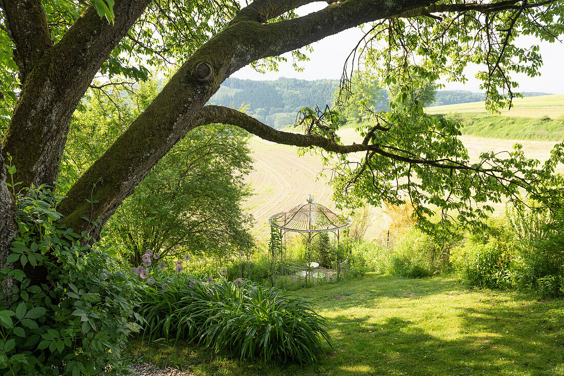 Schattenplatz im Garten unter Laubbaum