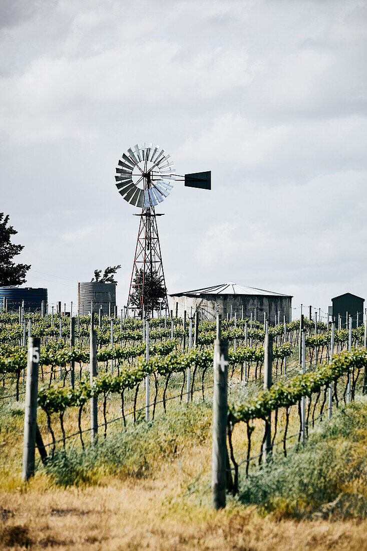 Clonakilla Winery, Canberra, NSW, Australia