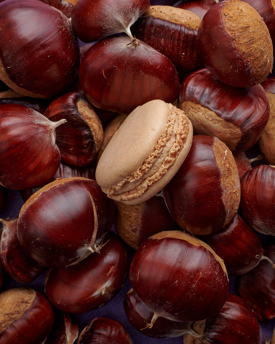 A macaroon with chestnut cream and chestnuts