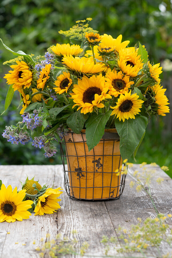 Bouquet of sunflowers with borage and fennel flowers