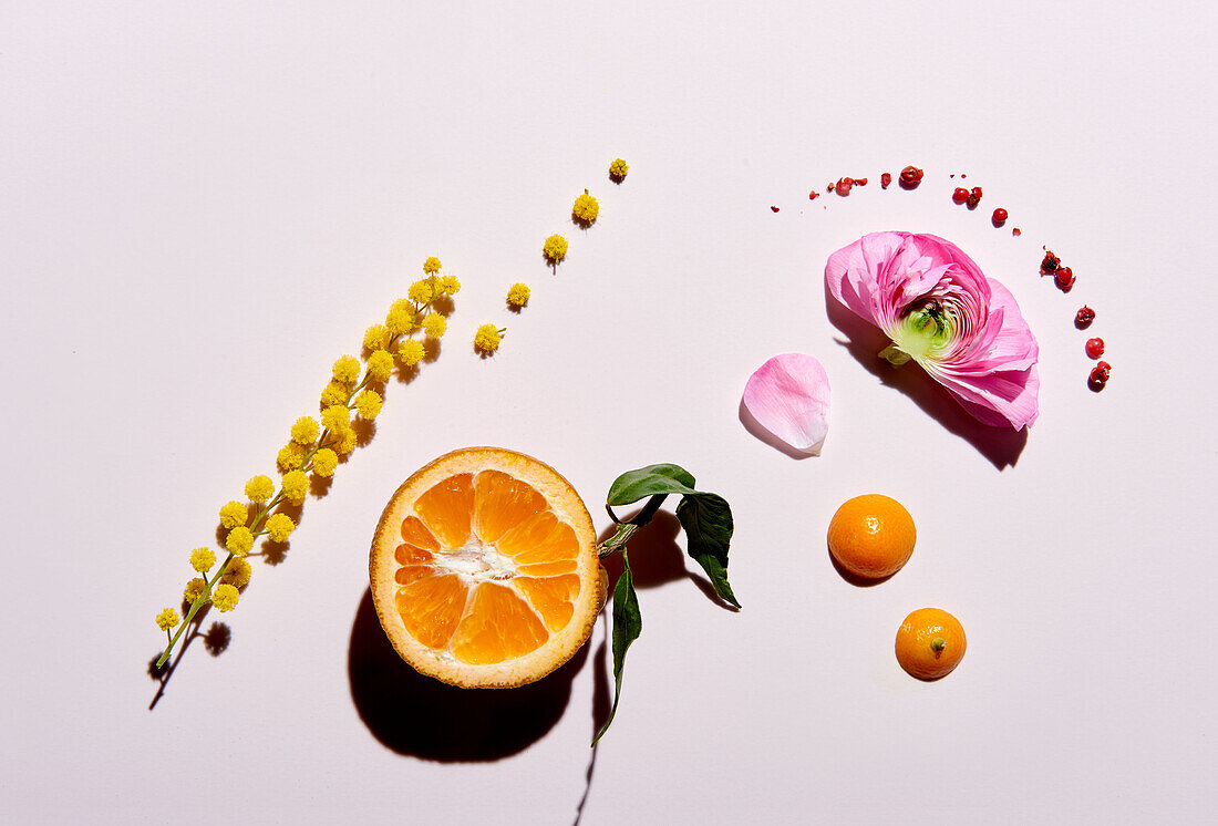 Duftnoten für Parfum (Zitrusfrüchte, Blüten, rote Pfefferkörner, Mimosenblüte)