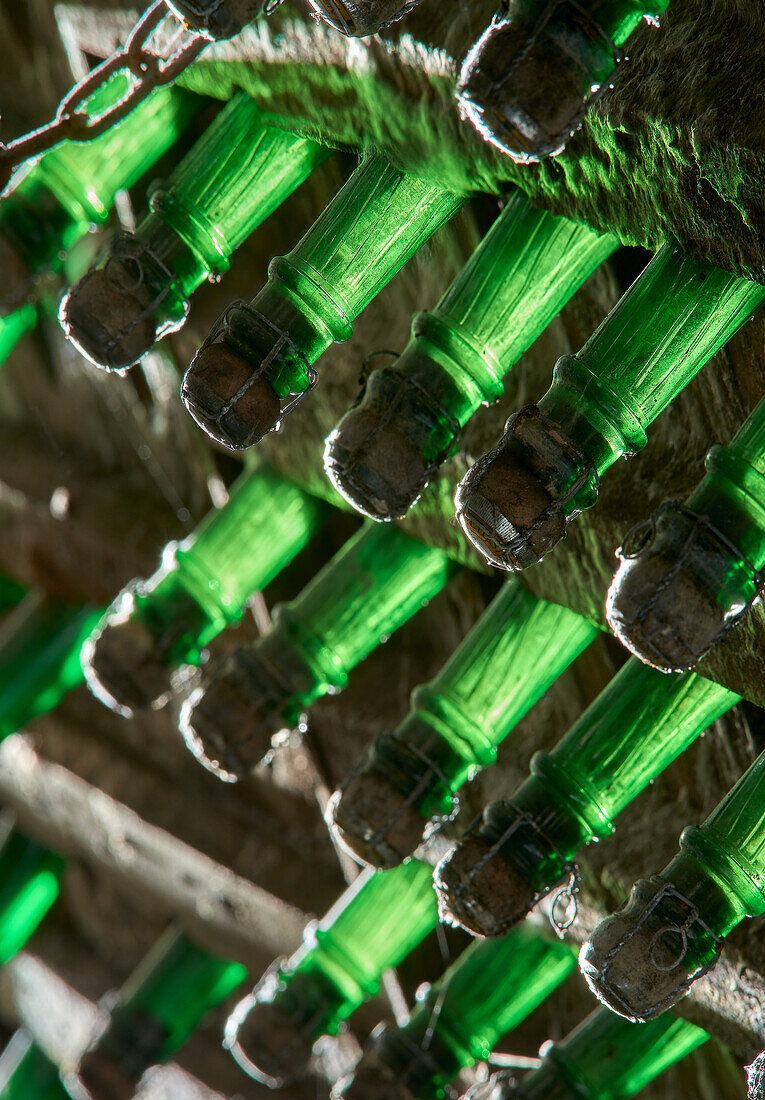 bottles of champagne in a cave in champagne area