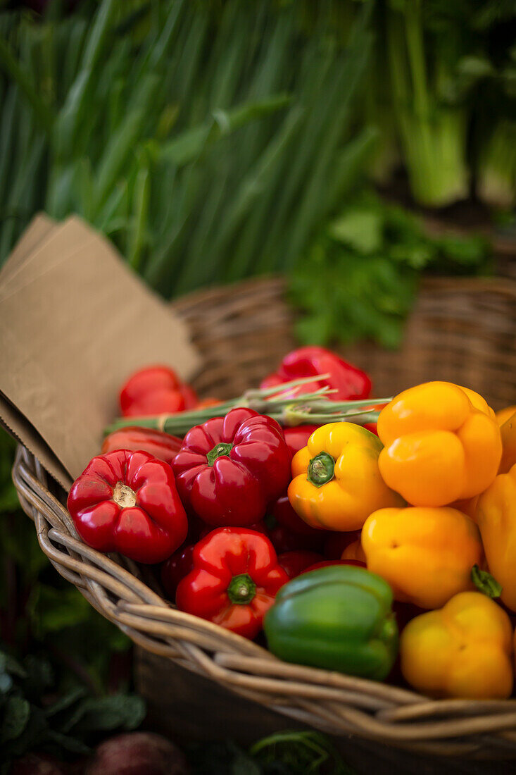 Colourful peppers in a basket at a market