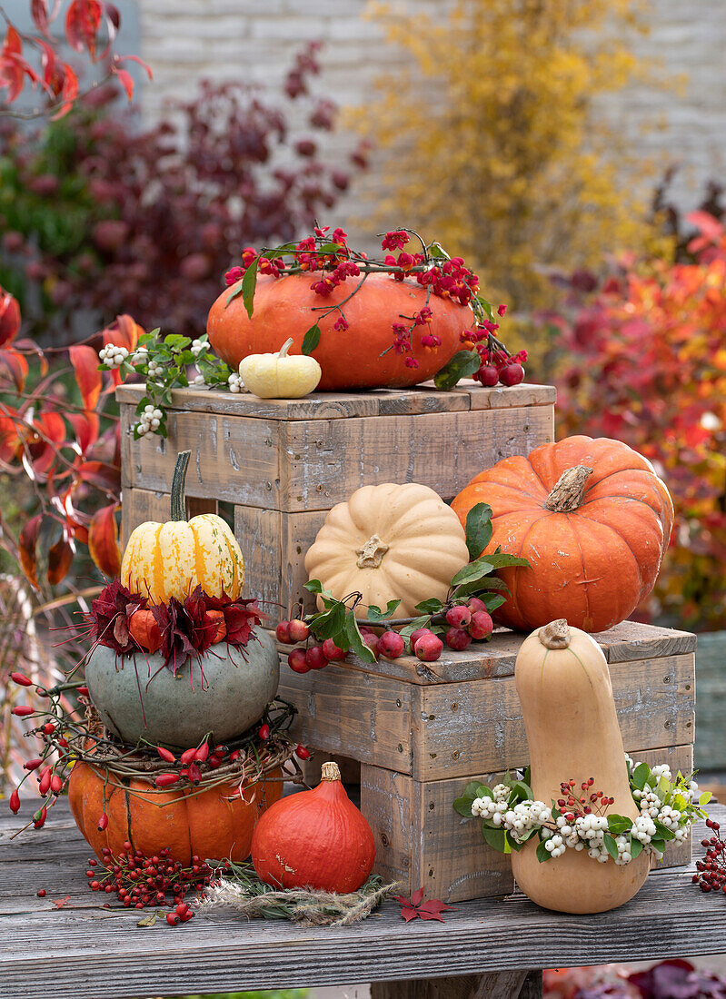 Decorative pumpkin arrangement with pumpkin tower and pumpkins with wreaths of snowberries, rose hips, leaves with lanterns and twigs of ornamental apple and peony tree