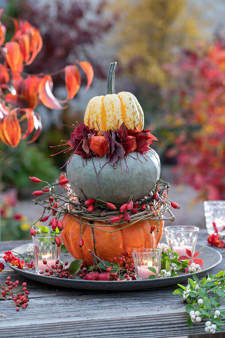 Pumpkin tower as table decoration: Pumpkins 'Sunny Hokkaido', 'Hungarian Blue' and 'Sweet Dumpling' with wreaths of rose hips, leaves and lanterns placed on top of each other on a bowl with lanterns, snowberries, rose hips and ornamental apples.